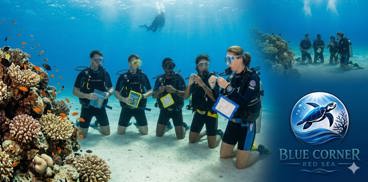 PADI Open Water Course Hurghada
